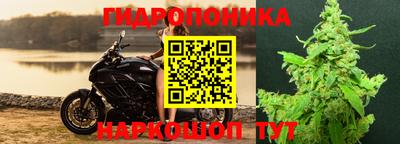 прущие крисы Шахты