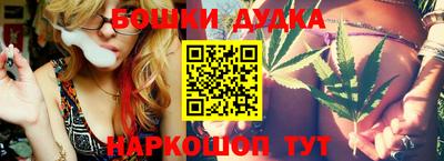 крисы Шебекино