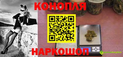 крисы Шебекино