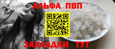 крисы Шебекино