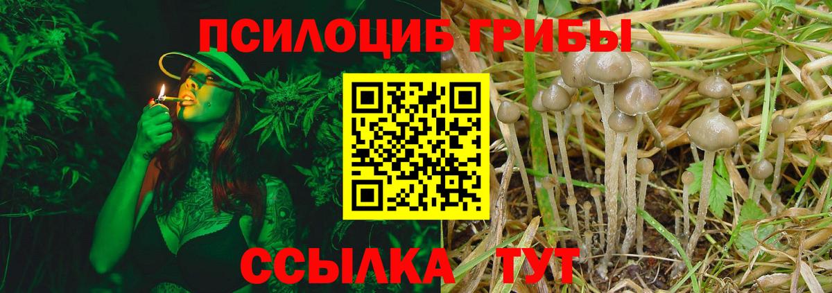 Галлюциногенные грибы прущие грибы  Вход с VPN  Нижневартовск 